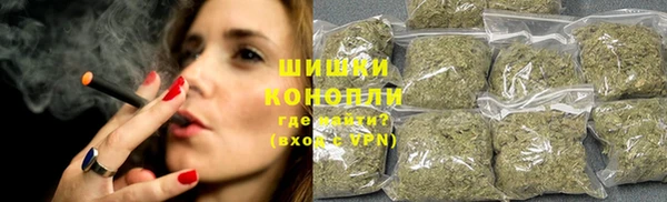 ешки Медногорск