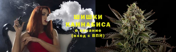 ешки Медногорск