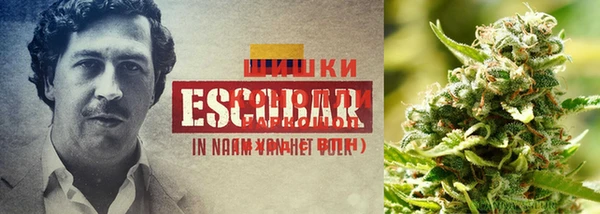 круглые Мегион