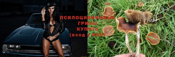 мяу мяу кристалл Медвежьегорск