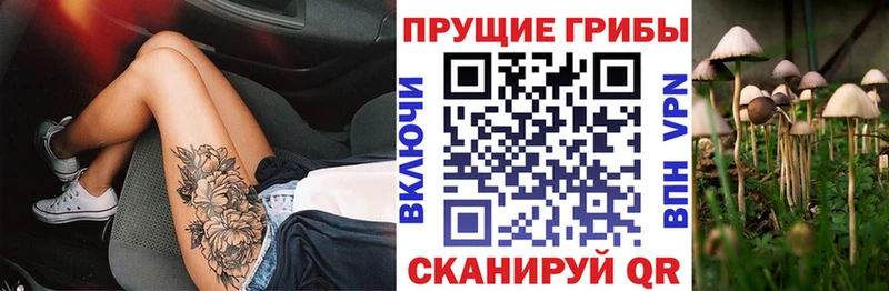 наркота  Спасск-Дальний  OMG зеркало  Псилоцибиновые грибы мицелий 